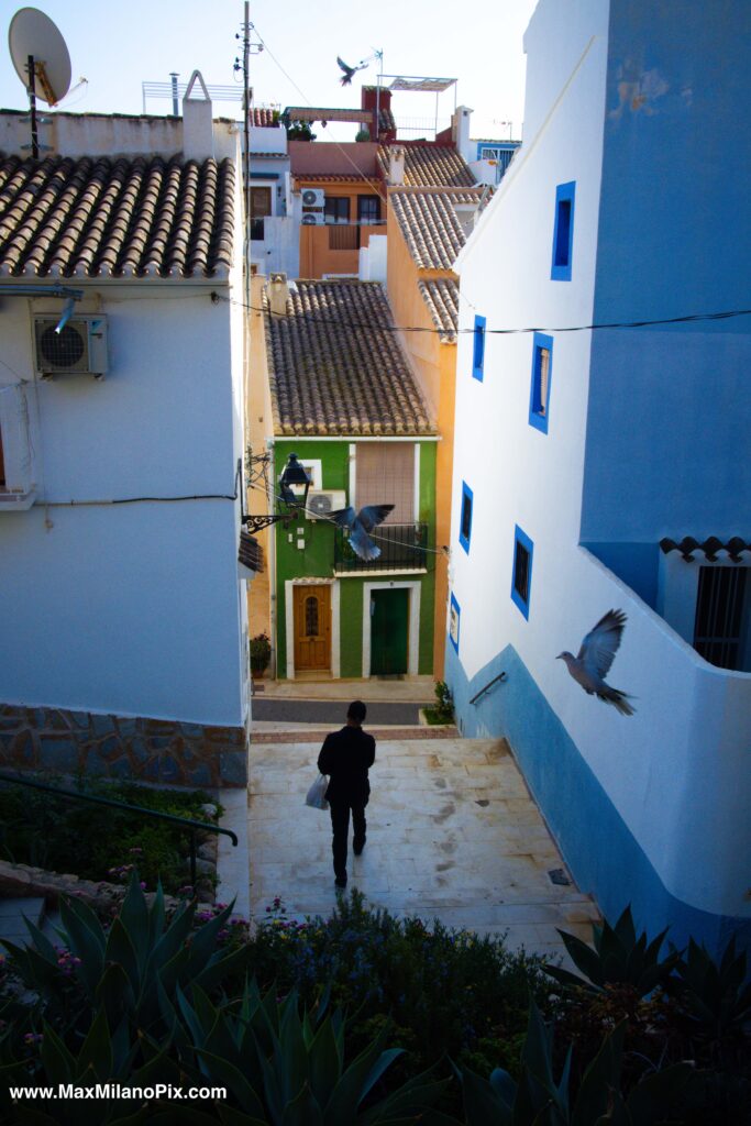 Villajoyosa Pigeons